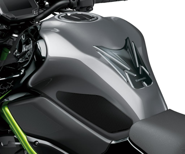 Kawasaki Knee pads